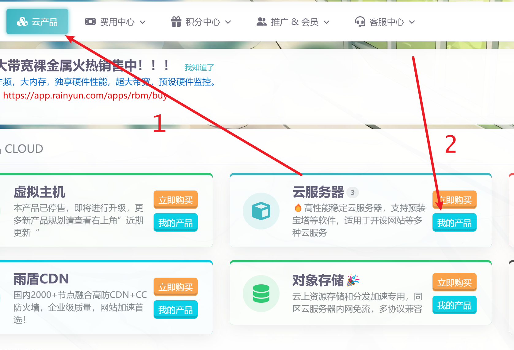 雨云控制面板 - 服务器IP地址信息展示